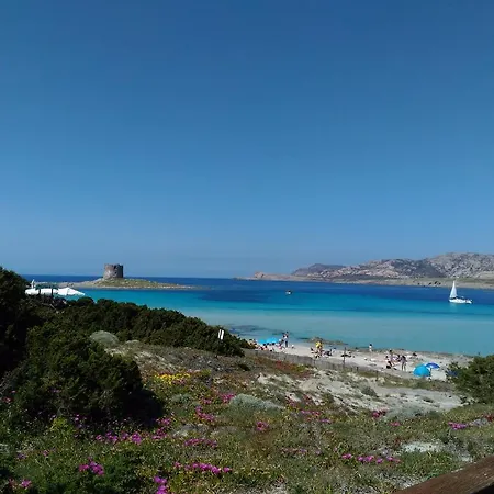 Casa de Férias Il Geranio Badesi